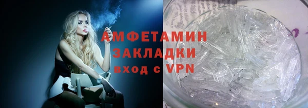 индика Абаза