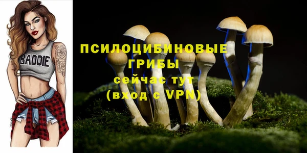 PSILOCYBIN Алексин