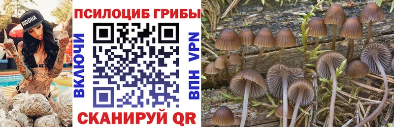 Псилоцибиновые грибы ЛСД  Абаза 